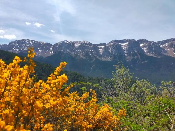 Cal Ferrer Habitatge Rural Villa Cava Dış mekan fotoğraf